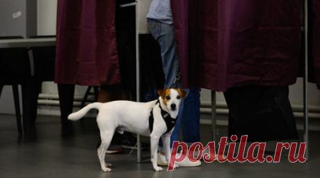 Почти 27% избирателей проголосовали к полудню во втором туре выборов во Франции. Явка во втором туре досрочных парламентских выборов в Национальное собрание Франции по состоянию на 13:00 мск составила 26,63%. Читать далее