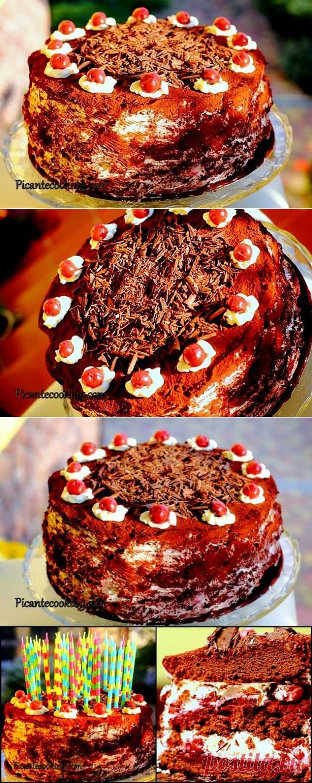 Шварцвальдский торт в моей интерпретации | Picantecooking