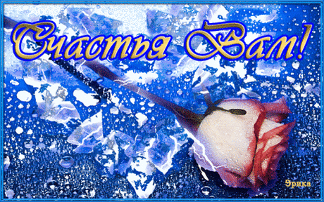 ******                  ******