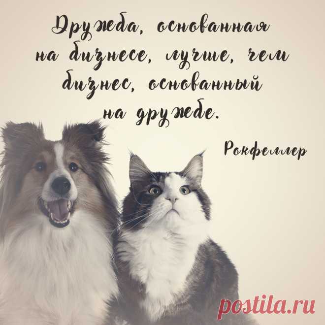 Цитата Рокфеллера про дружбу и бизнес. Оригинальную картинку высокого качества вы можете скачать на сайте Инстапик бесплатно.