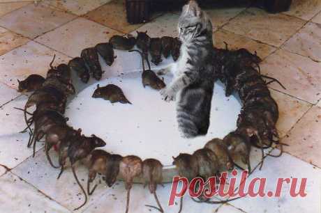 Вы чё охренели!!!