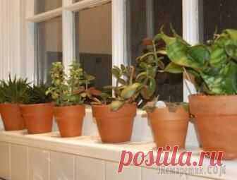 Подоконник на север