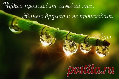 Futurenet.Club