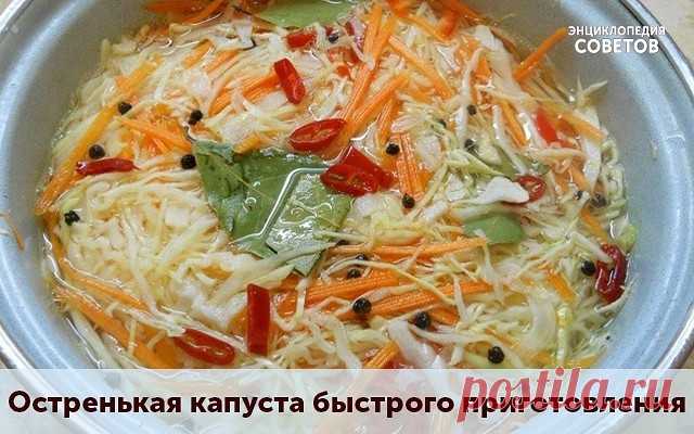 Остренькая капуста быстрого приготовления