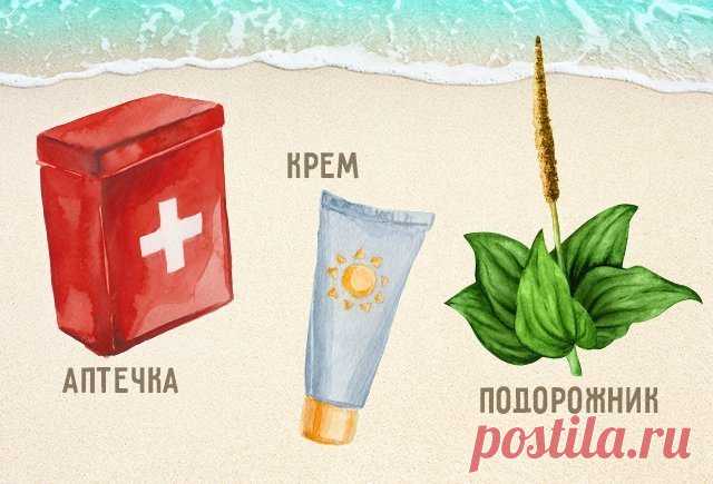 Аптечка на лето: как провести отпуск с детьми и не заболеть (или быстро вылечиться)