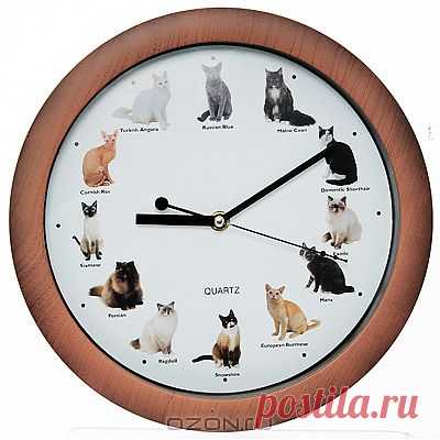 Часы кошатникам "Мяукающие кошки".
Стоимость: 799 руб.