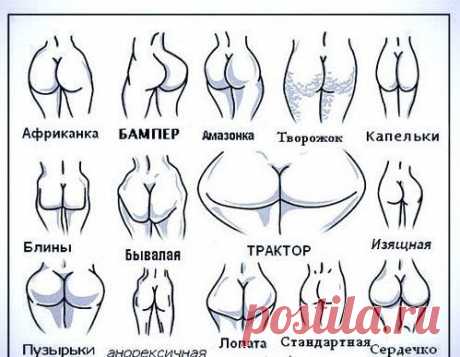 Тест по форме попы