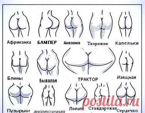 Тест по форме попы