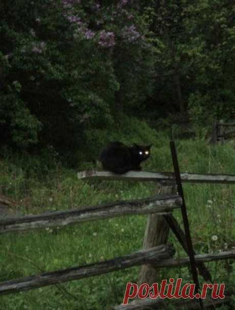 Просили ответов, а в итоге не захотели их получать. Почему так происходит?
Поболтаем. Сегодня будем общаться на тему ваших вопросов. Не только ваших конечно же, потому что на эту тему меня навело вчерашнее сообщение от старой клиентки. картинка из свободных источников интернета картинка из свободных источников интернета Вчера пришло сообщение от девушки, которая обращалась ко мне около года тому назад. На тот момент, девушка не сказала мне […]
Читай пост далее на сайте. Жми ⏫ссылку выше