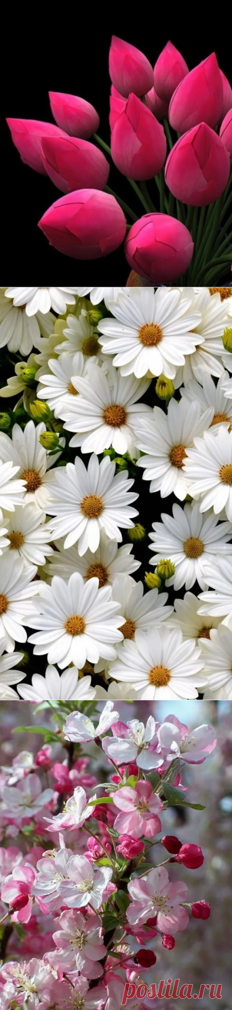 Фото – Google+
