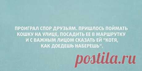 15 юмористических открыток о превратностях судьбы