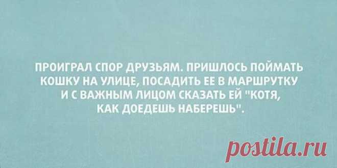 15 юмористических открыток о превратностях судьбы