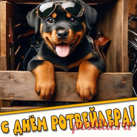Картинка с днём ротвейлера
