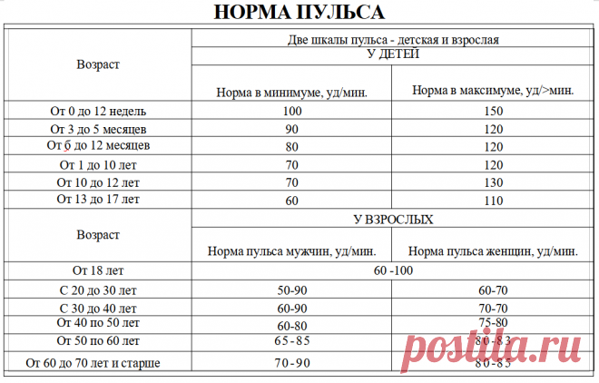 Чем чаще пульс — тем короче жизнь. Какой пульс считается нормальным | Павел Корпачев | Яндекс Дзен