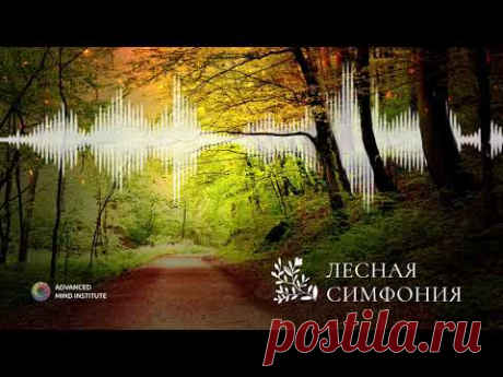 Лесная симфония (альфа-медитация) - YouTube