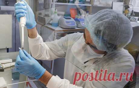 Центр Гамалеи готов подать документы для испытания новых платформ для вакцин от ковида. Это необходимо, чтобы защититься от следующих возможных мутаций вируса, отметил директор Центра Александр Гинцбург