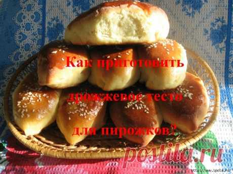 Как приготовить дрожжевое тесто для пирожков?