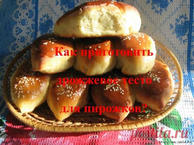 Как приготовить дрожжевое тесто для пирожков?