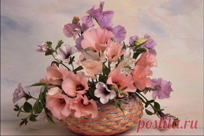 С ДНЕМ РОЖДЕНИЯ!!!