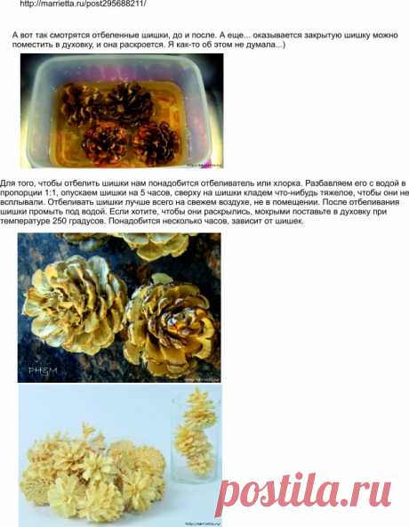 Как отбелить шишки