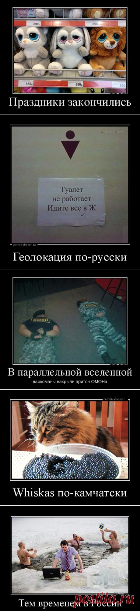Свежие демотиваторы на Бугаге (17 шт)