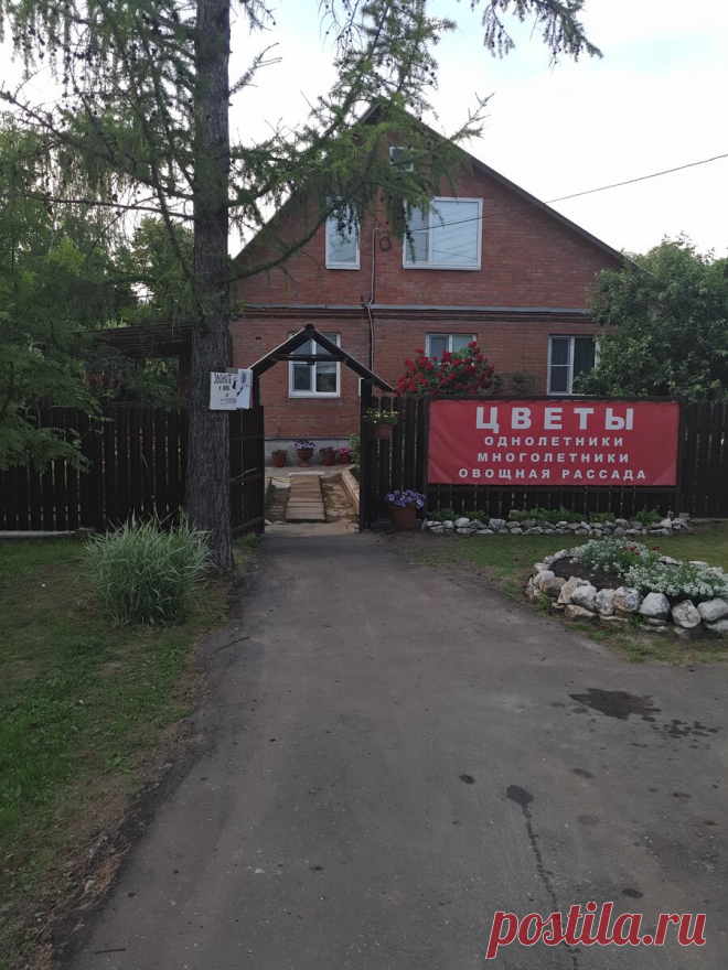 Чем мне нравятся частные мини-питомники растений | Сад Анны Гауэр | Яндекс Дзен