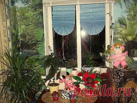 Одноклассники