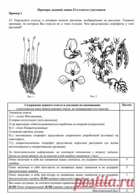 Официальные комментарии ФИПИ к реальным ответам выпускников на задания линии 25 (бывшей 23).

 На картинках представлены примеры заданий из ЕГЭ 2020, ответы выпускников на них и комментарии к выставленным баллам.

 Есть примеры реальных ответов на полный балл, а для других ответов рассказано, за что снижена оценка.

Настоятельно рекомендую прочитать, чтобы вы лучше понимали логику оценивания работ экспертами. Обратите внимание на распространенные ошибки и то, как они учиты...