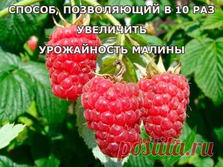 В воду, в которой варится рис, влейте столовую ложку уксуса - и рис станет белоснежным, рассыпчатым. 

 Винегрет приобретет тонкий и приятный вкус, если влить в него 1 ст.л. молока и добавить 1 ч.л. сахара. 

 Щепотка соли, добавленная в кофе перед концом варки, придает напитку особый вкус и аромат. 

 Если добавить в сметану немного молока, она не свернётся в подливе. 

 Капусту для начинки, порубив, сначала обдайте кипятком, а затем залейте на минуту холодной водой. Хоро...