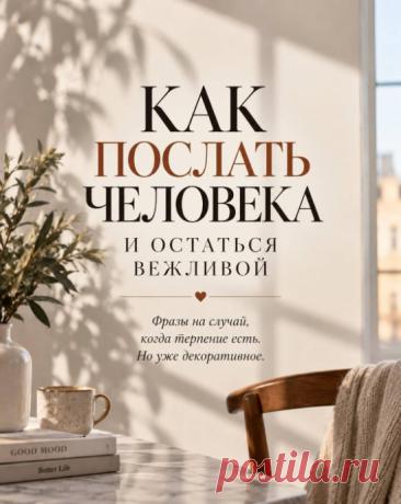 Иногда не нужно хамить, спорить и что-то долго объяснять..