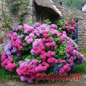 (90) Одноклассники