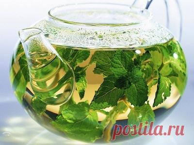 Польза зеленого чая для зубов и десен