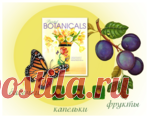 Фрукты. Бабочки. Капельки.