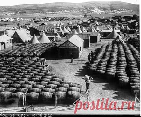 Исторические и редкие фото 116