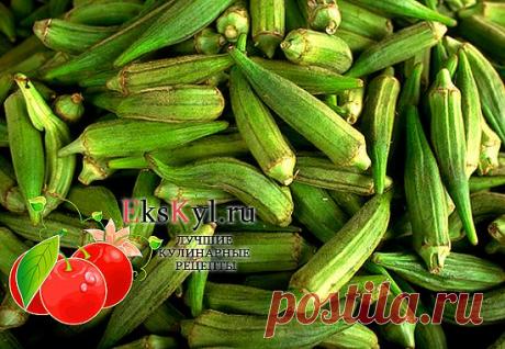 Бамия: польза и вред, калорийность и применение | Ekskyl