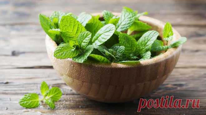 10 ароматных трав, которые придают блюдам пикантность и делают вкус ярче