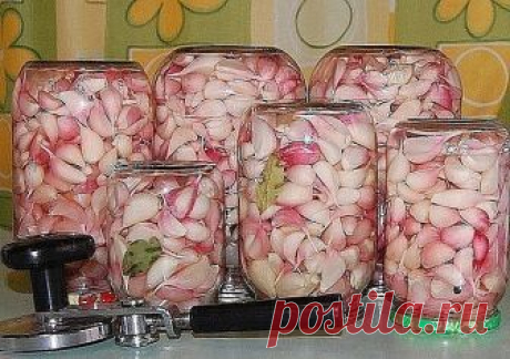 Маринованный чеснок холодный способ ! вкусняшка
Состав:
Чеснок – 1 кг
Вода – 600 мл
Сахар – 4 ст. л.
Соль – 4 ст. л.
Черный перец горошком – 7 шт.
Гвоздика – 10 бутонов
Уксус – 3 ст. л.

Приготовление:
Очистите овощ от верхнего слоя шелухи.
В отдельную кастрюлю добавьте воду, сахар, соль, гвоздику и перец горошком. Вскипятите, снимите с огня кастрюлю и влейте уксус.
В стеклянную банку уложите рядами головки и доверху залейте маринадом.
Плотно закройте крышкой и уберите в п...