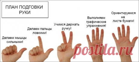Развиваем руку для письма: задания и тренажеры