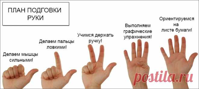 Развиваем руку для письма: задания и тренажеры