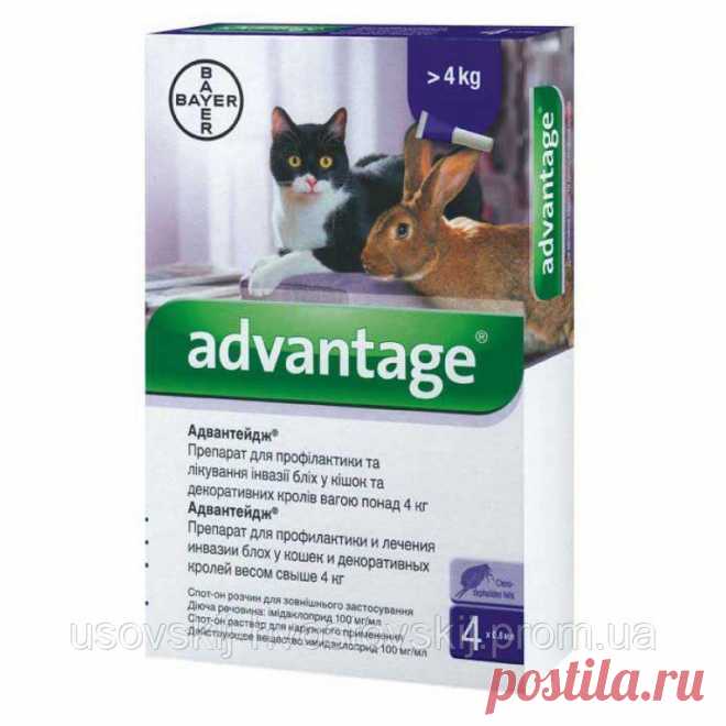 Купить Bayer Адвантейдж 80 для кошек свыше 4 кг - 792774964