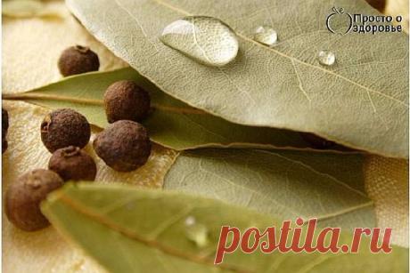 сообщение Серебрянные_росы : Мазь из лаврового листа для больной спины (06:32 10-05-2016) [4097339/390472230] - galya.nadeina@mail.ru - Почта Mail.Ru