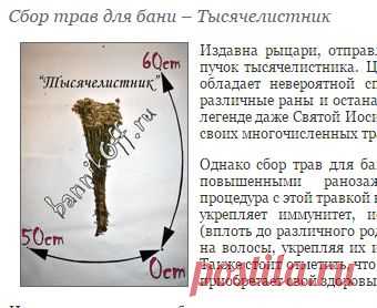 Травы для бани в пучках, сбор трав для бани