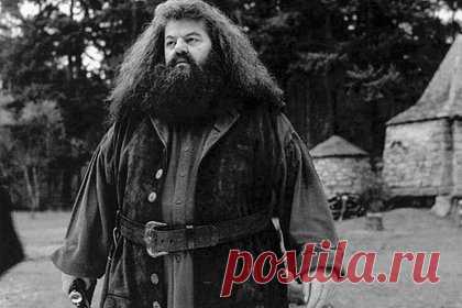 Умер исполнитель роли Хагрида Робби Колтрейн. Умер шотландский актер Робби Колтрейн, известный по роли Рубеуса Хагрида в серии фильмов о Гарри Поттере. Артист скончался в 72 года. Помимо поттерианы он прославился по таким фильмам и сериалам, как «Из ада», «Мона Лиза», «Монахини в бегах», «Метод Крекера», «Фрейзер» и «Городские легенды».