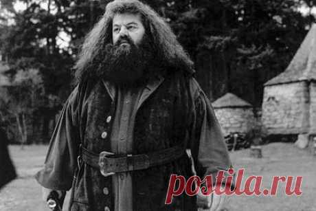 Умер исполнитель роли Хагрида Робби Колтрейн. Умер шотландский актер Робби Колтрейн, известный по роли Рубеуса Хагрида в серии фильмов о Гарри Поттере. Артист скончался в 72 года. Помимо поттерианы он прославился по таким фильмам и сериалам, как «Из ада», «Мона Лиза», «Монахини в бегах», «Метод Крекера», «Фрейзер» и «Городские легенды».
