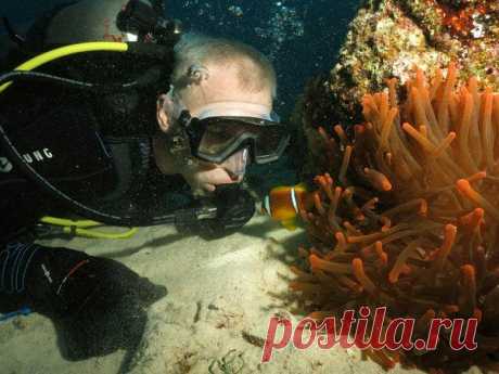 Роман с амфиприонами.