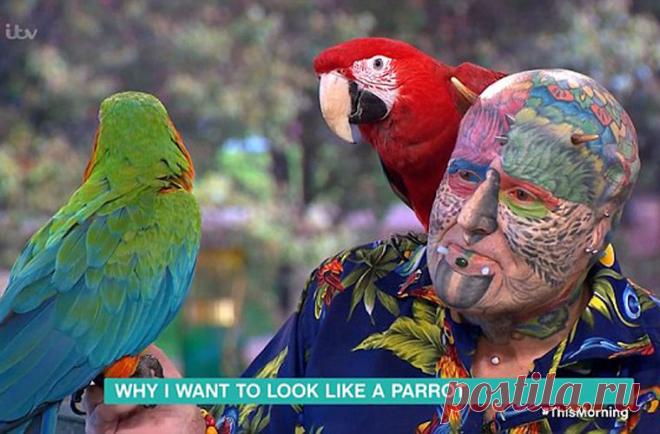Человек-попугай из Великобритании шокировал Сеть стремлением походить на птицу / Новости / Моя Планета