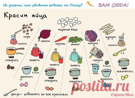 Красим яйца овощами, специями, кофе.: Дневник группы "Рецепты для очень занятой мамы" - Страна Мам
