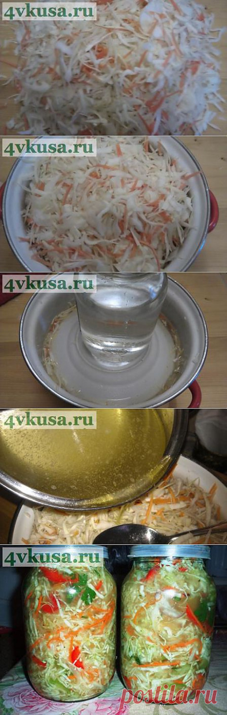 Капуста быстрого пряного посола &quot;Закусочная&quot; | 4vkusa.ru