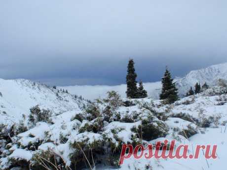 Panoramio - Untitled photo