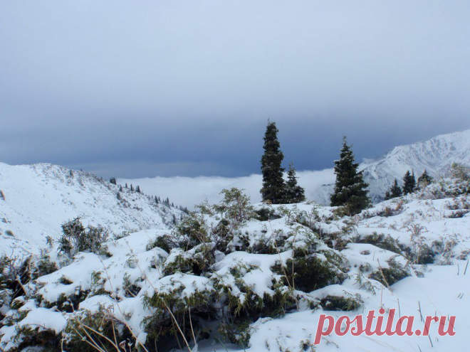 Panoramio - Untitled photo